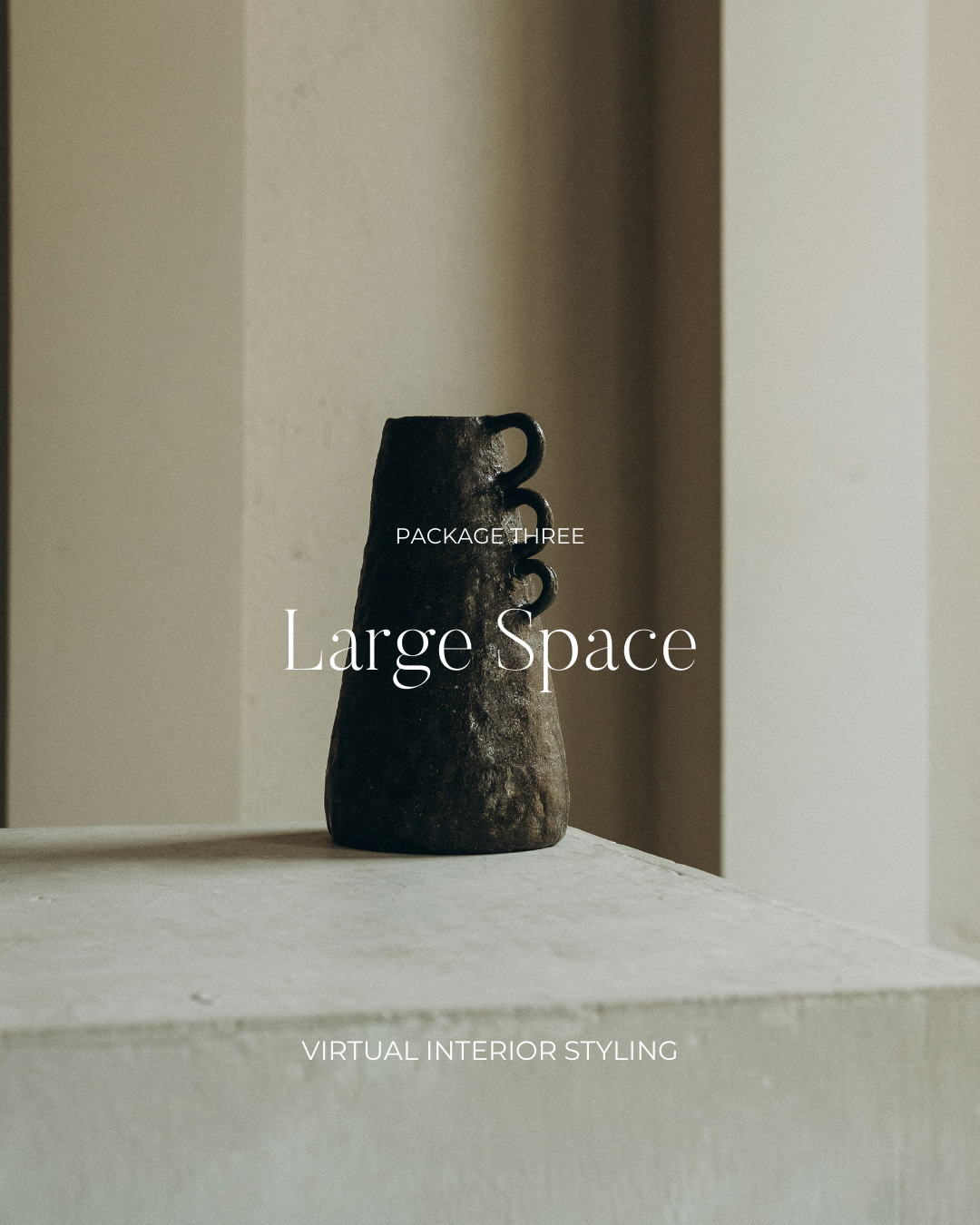 Virtual Interior Styling Package 3: Large Space